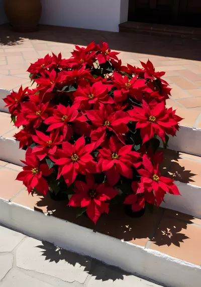 Imagen PNG para descargar